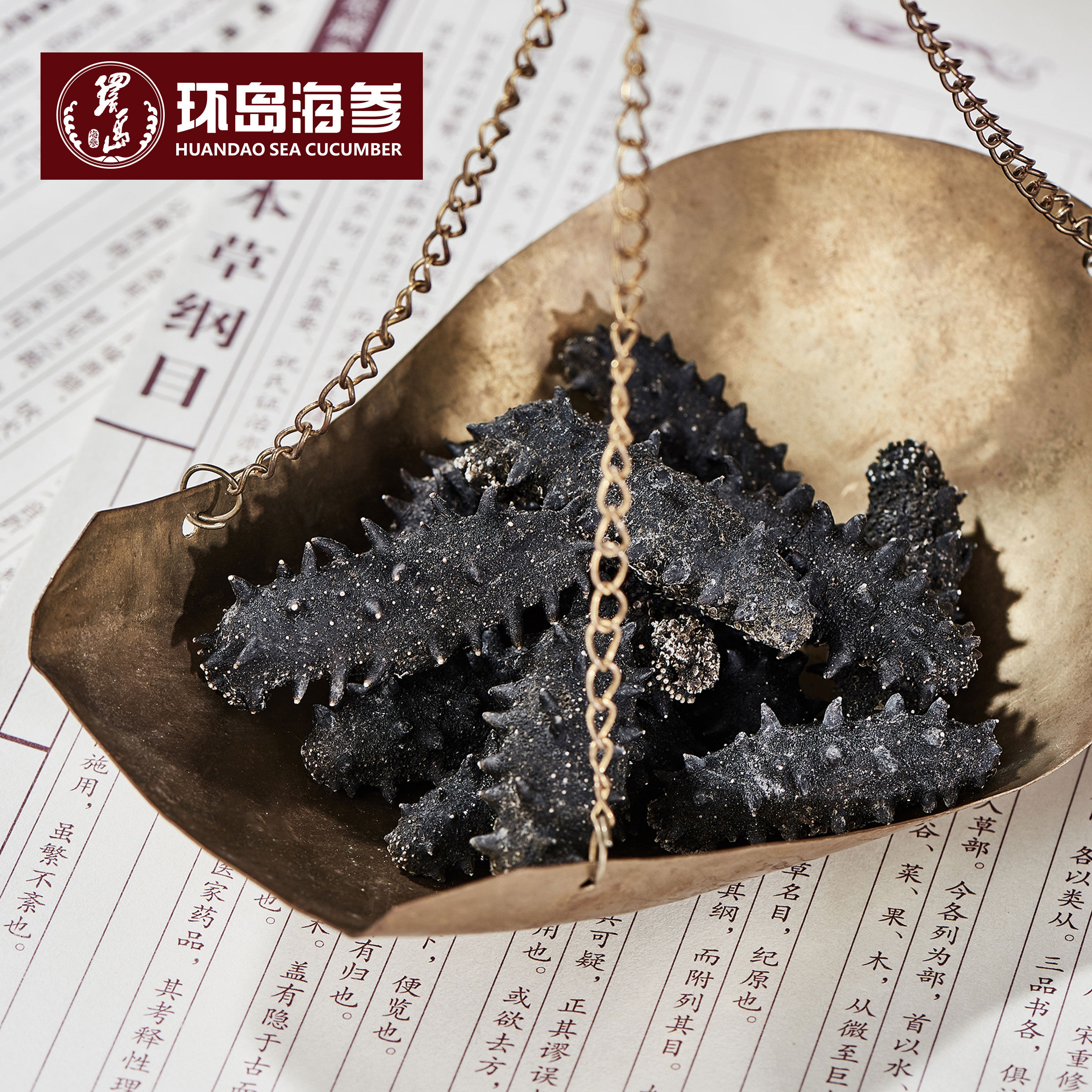 Saba体育 - 您的专属电较量事主场